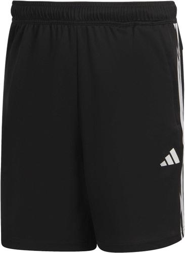 ADIDAS Herren Shorts TR-ES PIQ 3SHO M in Schwarz