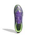 ADIDAS Herren Fussball-Rasenschuhe F50 Club FG/MG 47 ⅓ in Silber