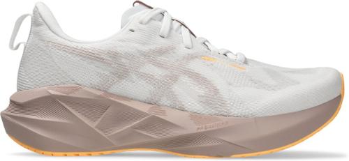 ASICS Damen Laufschuhe NOVABLAST 5 41 ½ in Silber