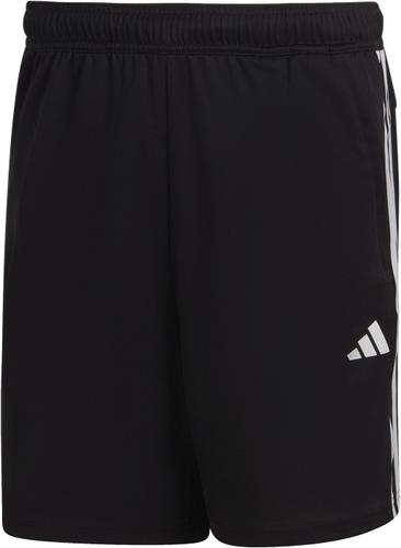 ADIDAS Herren Shorts TR-ES PIQ 3SHO L in Schwarz