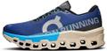 ON Herren Laufschuhe Cloudmonster 2 42 in Braun